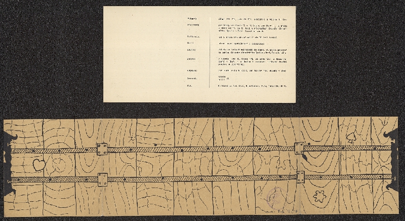  – Šibřinky Českého čtenářského spolku v Brně 