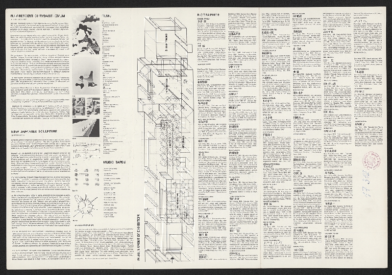 neznámý – Fluorescent Chrysanthenum 