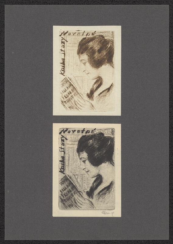 Alois Moravec – Kniha Stázy Novotné 