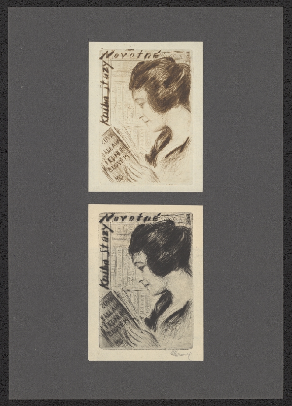 Alois Moravec – Kniha Stázy Novotné 