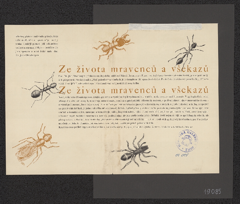 neznámý – Ze života mravenců a všekazů 