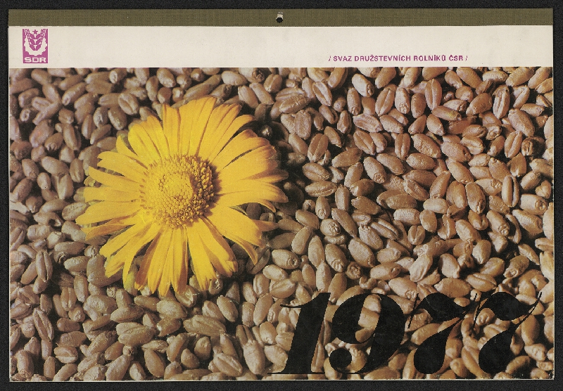 Zbyněk Wienfurter – Svaz družstevních rolníků 