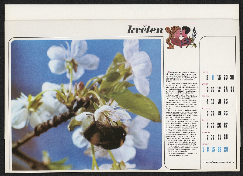 Zbyněk Wienfurter – Svaz družstevních rolníků 