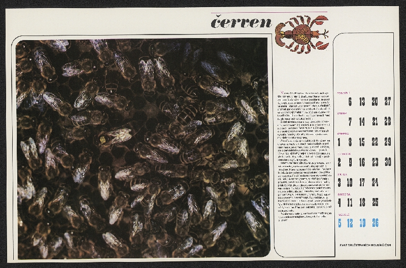 Zbyněk Wienfurter – Svaz družstevních rolníků 