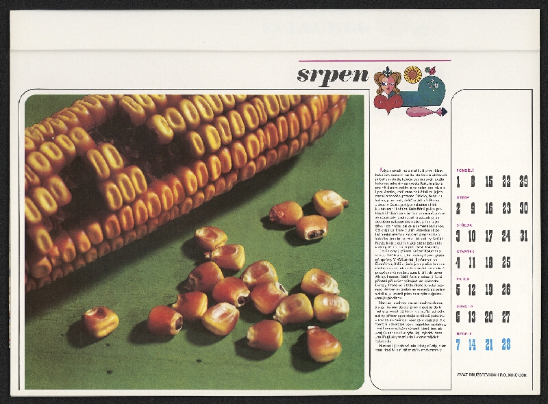 Zbyněk Wienfurter – Svaz družstevních rolníků 