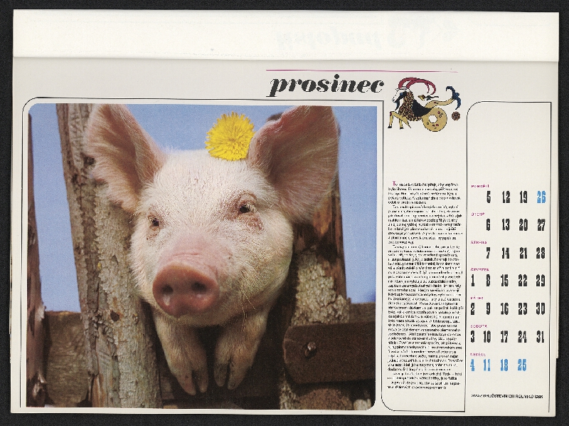 Zbyněk Wienfurter – Svaz družstevních rolníků 