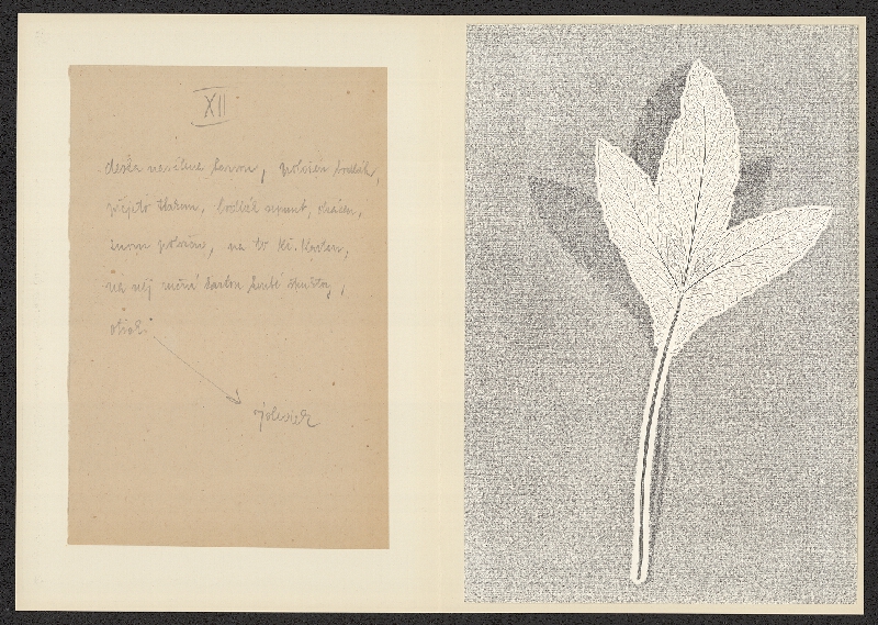 Antonín Jero – Popis postupu tisku z materiálu 