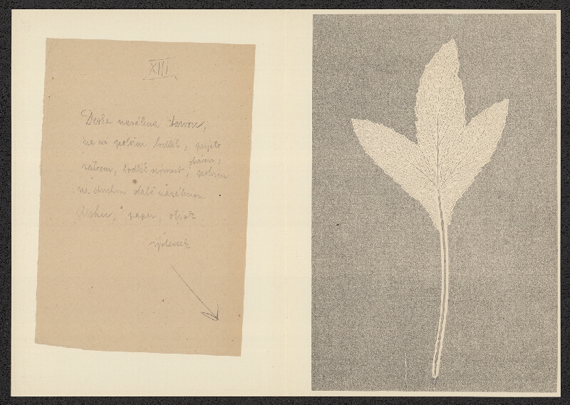 Antonín Jero – Popis postupu tisku z materiálu 