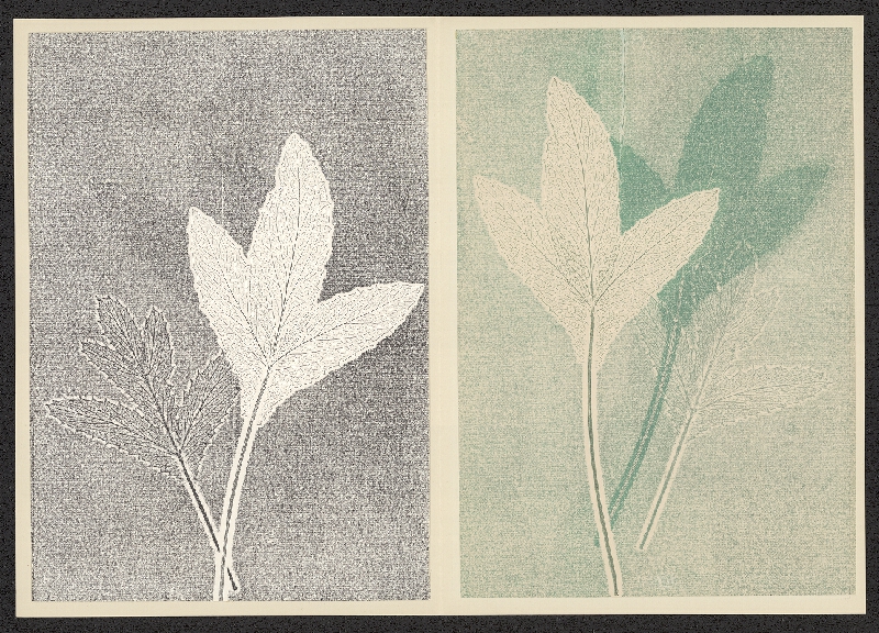 Antonín Jero – Popis postupu tisku z materiálu 