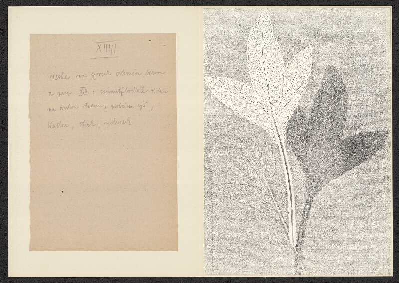 Antonín Jero – Popis postupu tisku z materiálu 