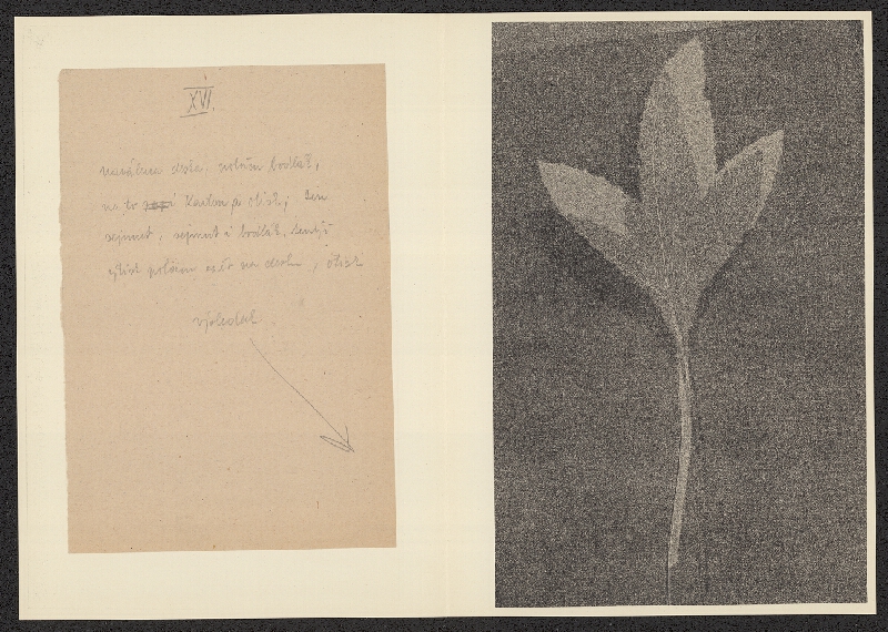 Antonín Jero – Popis postupu tisku z materiálu 