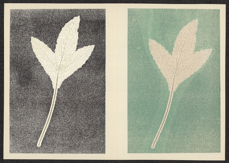 Antonín Jero – Popis postupu tisku z materiálu 