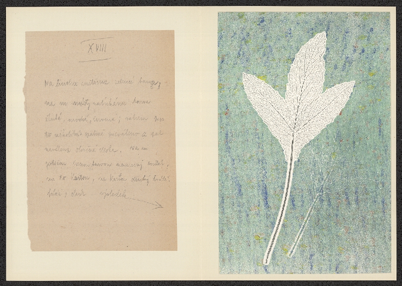 Antonín Jero – Popis postupu tisku z materiálu 