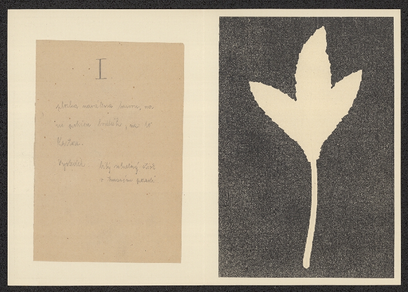 Antonín Jero – Popis postupu tisku z materiálu 