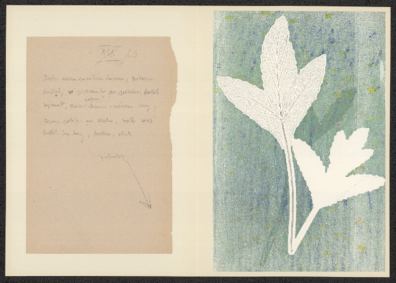 Antonín Jero – Popis postupu tisku z materiálu 