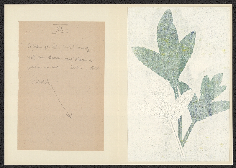 Antonín Jero – Popis postupu tisku z materiálu 