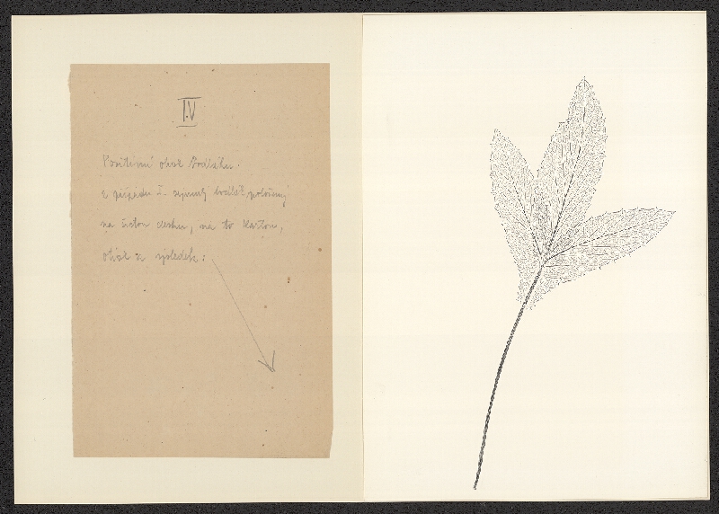 Antonín Jero – Popis postupu tisku z materiálu 