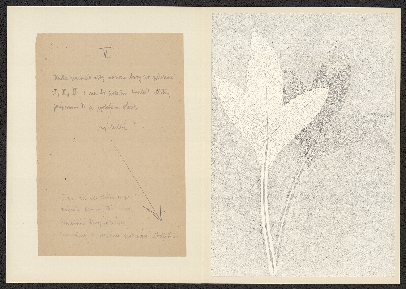 Antonín Jero – Popis postupu tisku z materiálu 