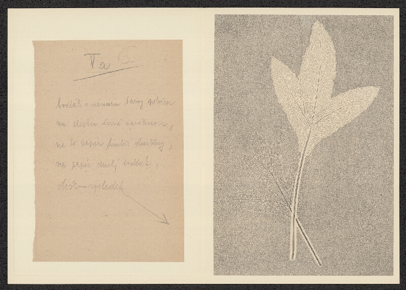 Antonín Jero – Popis postupu tisku z materiálu 