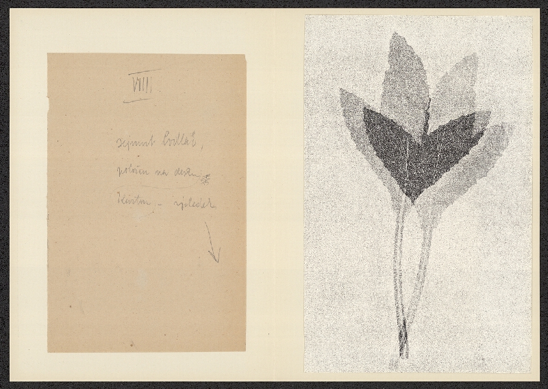 Antonín Jero – Popis postupu tisku z materiálu 