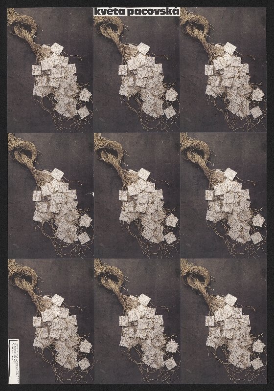 Květa Pacovská – Květa Pacovská: Haus am Lützowplatz 