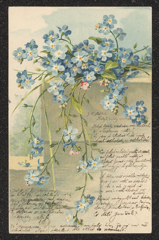 neznámý – Přání 