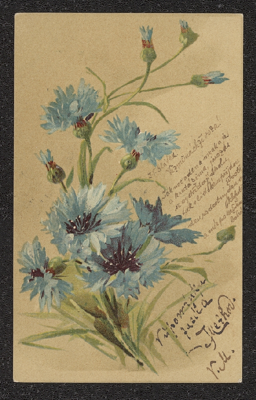 neznámý – Srdečné přání 