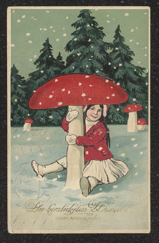 neznámý – Die herzlichten Wünsche zum neuen Jahre 