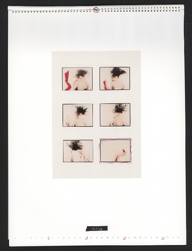 Sigi Ramoser – Colour Art Photo Corporate Identity 