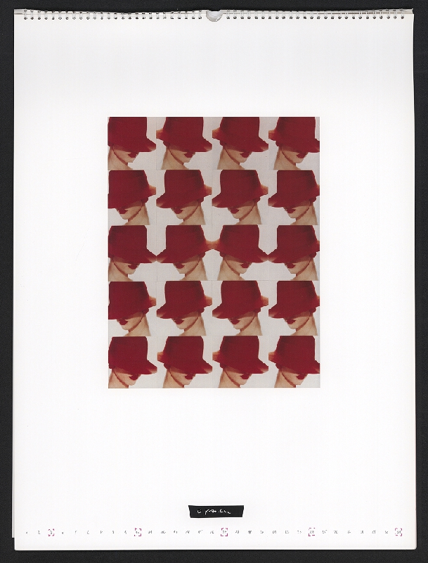 Sigi Ramoser – Colour Art Photo Corporate Identity 