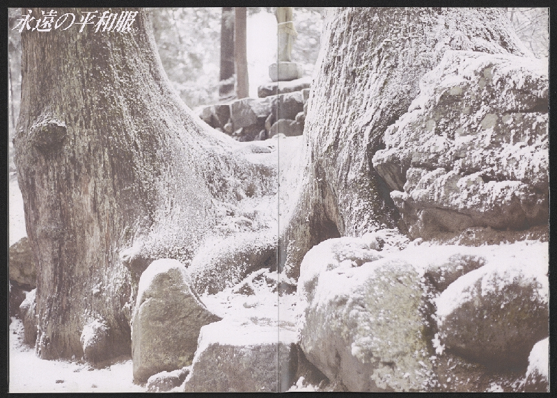 Keizo Matsui – Hiroko Homme 