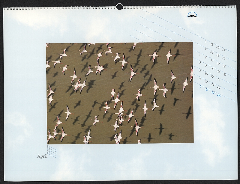 Olaf Leu – Wings of Freedom 