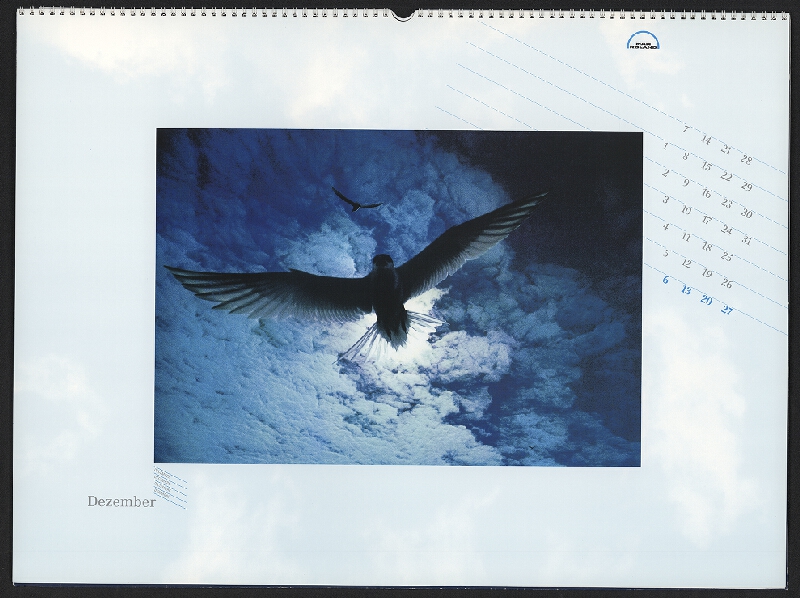 Olaf Leu – Wings of Freedom 