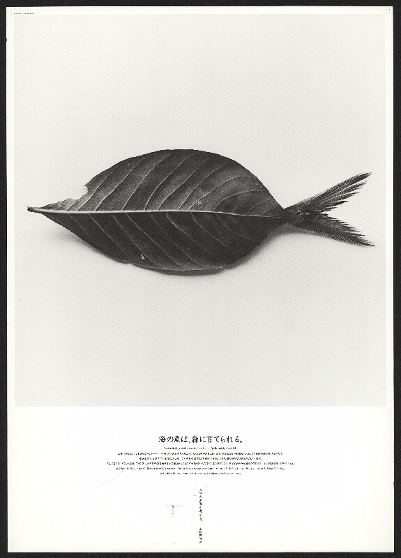 Norito Shinmura – [Fishes in the sea are nurtured by the forest] 