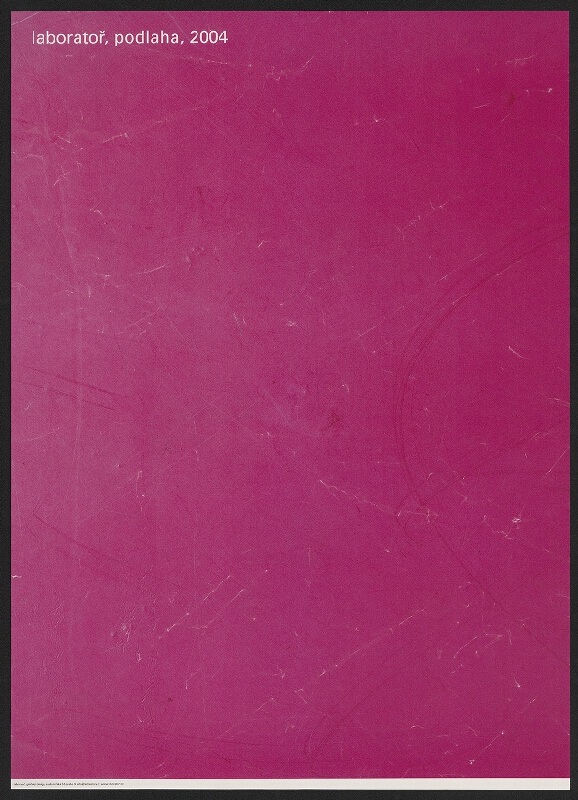 Petr Babák – Laboratoř 