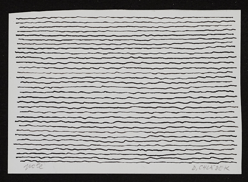 Dušan Chládek – Pole 