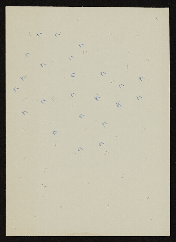 Karel Adamus – Bez názvu 