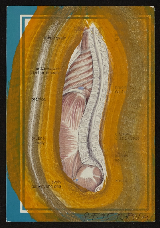 Rudolf Fila – P.F. 1995 