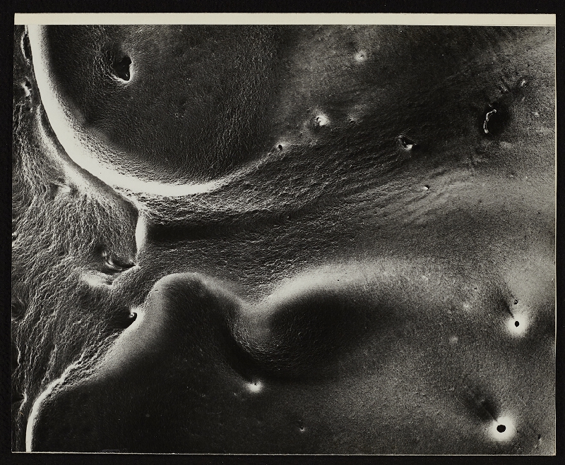 Miloš Koreček – Trio 