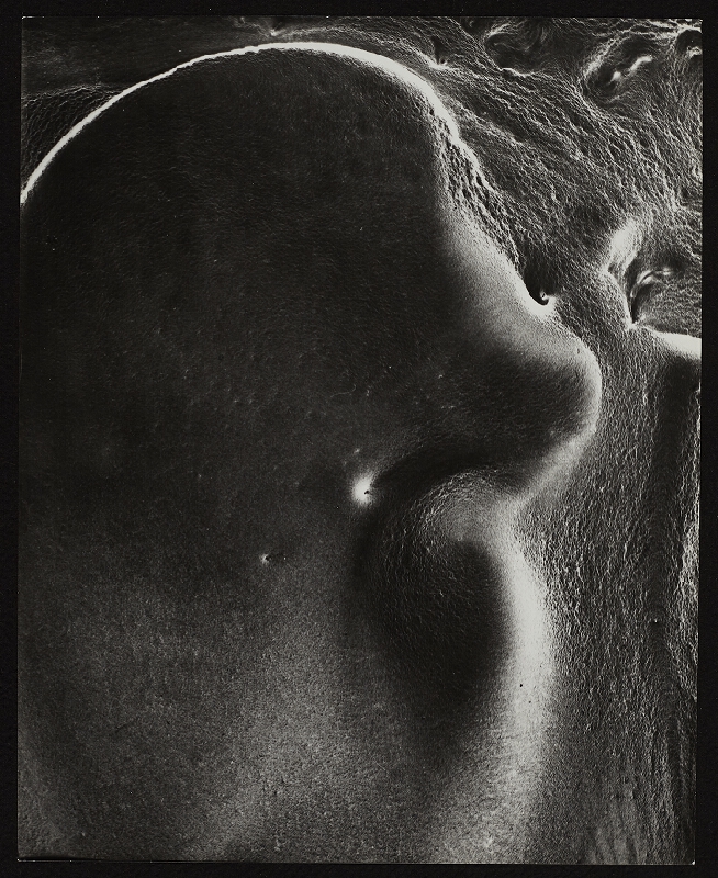 Miloš Koreček – Trio 