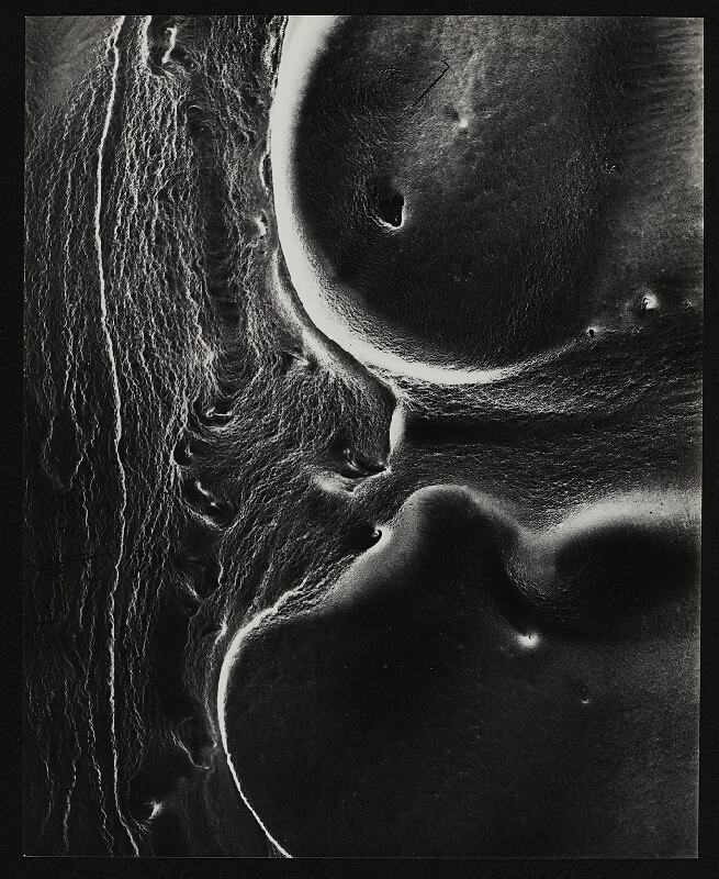 Miloš Koreček – Trio 