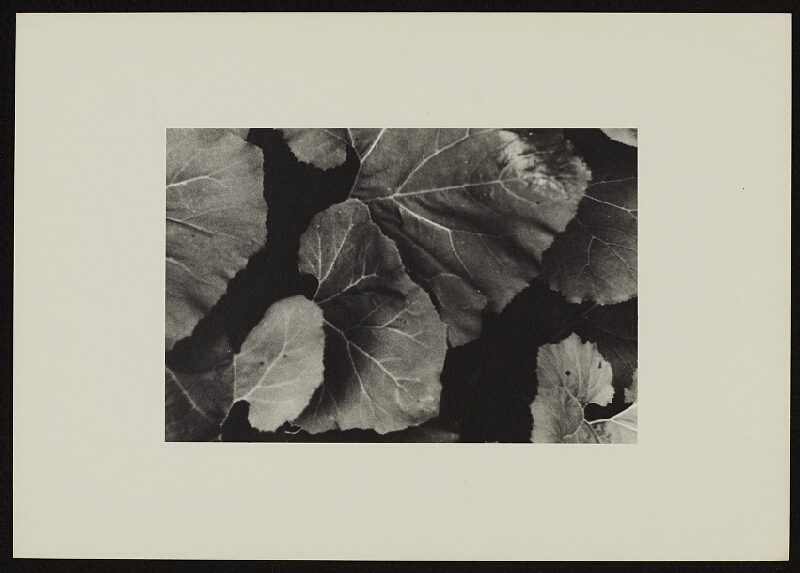 Jan Wojnar – Šest ohlédnutí při odkrývání 