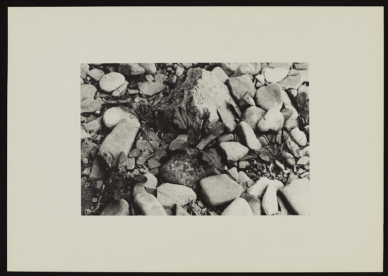 Jan Wojnar – Šest ohlédnutí při odkrývání 