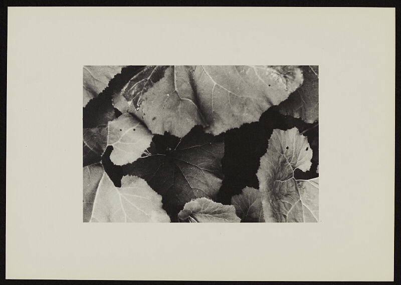 Jan Wojnar – Šest ohlédnutí při odkrývání 