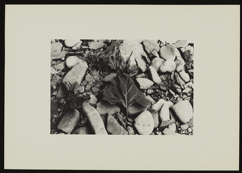 Jan Wojnar – Šest ohlédnutí při odkrývání 