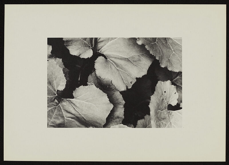 Jan Wojnar – Šest ohlédnutí při odkrývání 