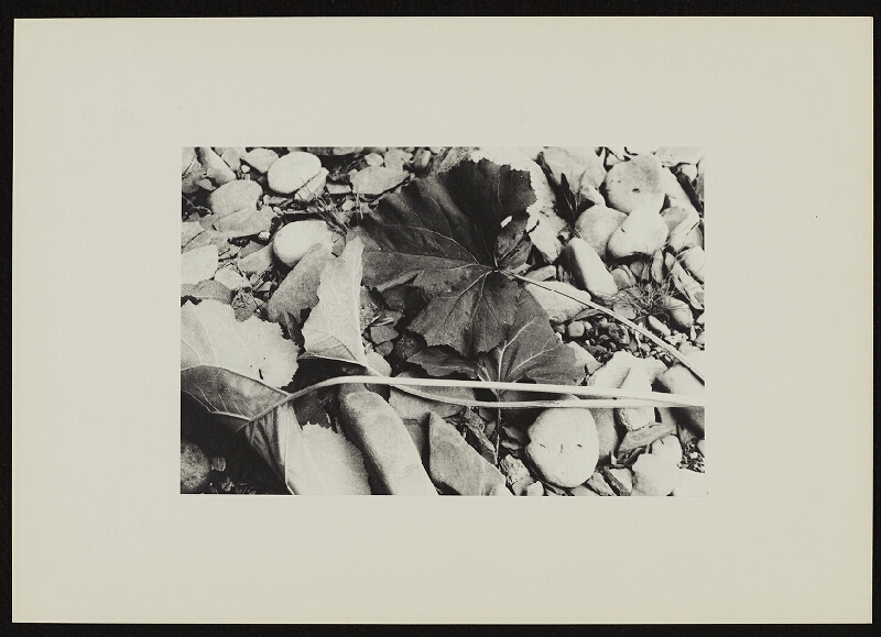 Jan Wojnar – Šest ohlédnutí při odkrývání 