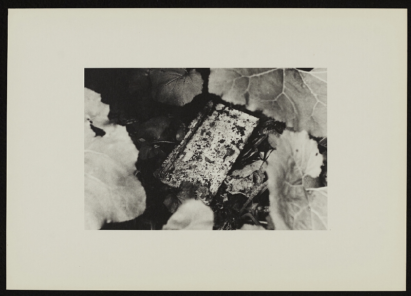 Jan Wojnar – Šest ohlédnutí při odkrývání 