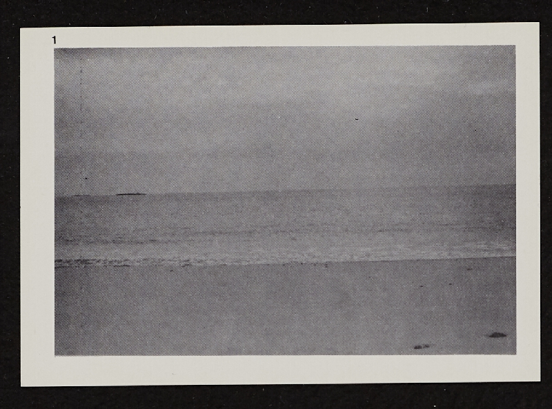 Richards Jarden – High Tide (Simulation) 