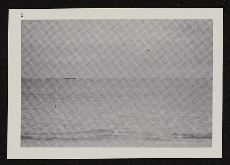 Richards Jarden – High Tide (Simulation) 